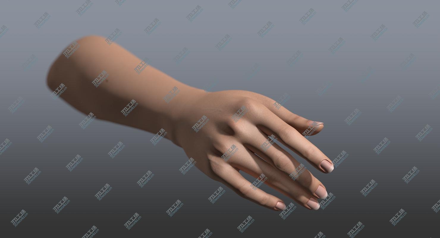 images/goods_img/20210113/Rigged and Animated Hand (Female)/1.jpg